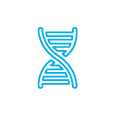 企業DNAの体系化