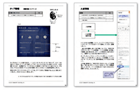 個別報告書の例