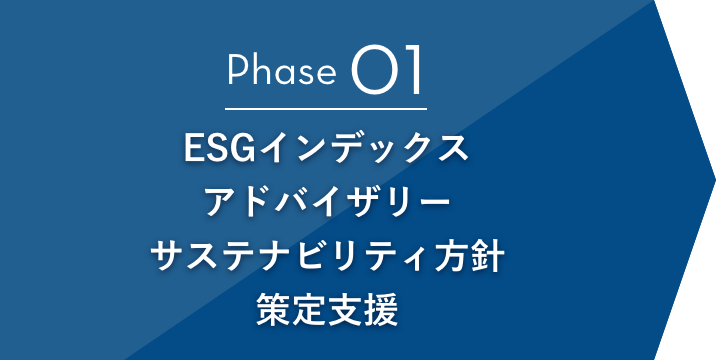 Phase01 ESGインデックアドバイザリーサステナビリティ方針策定支援