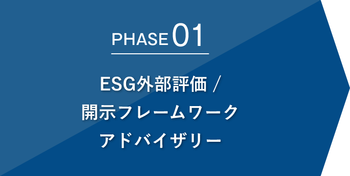 Phase01 ESG外部評価／開示フレームワークアドバイザリー